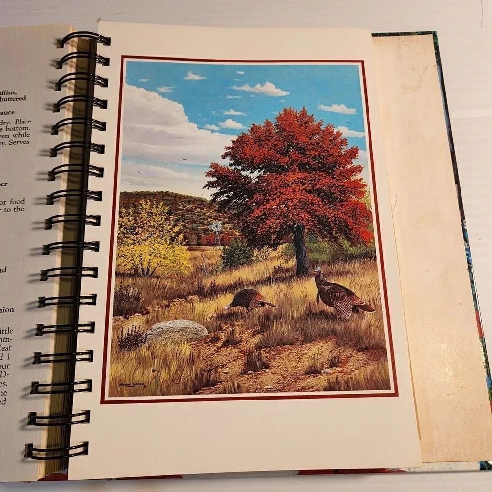 Sampler A Cookbook By The Womens Art Guild Of Laguna Gloria Art Museum First Ed